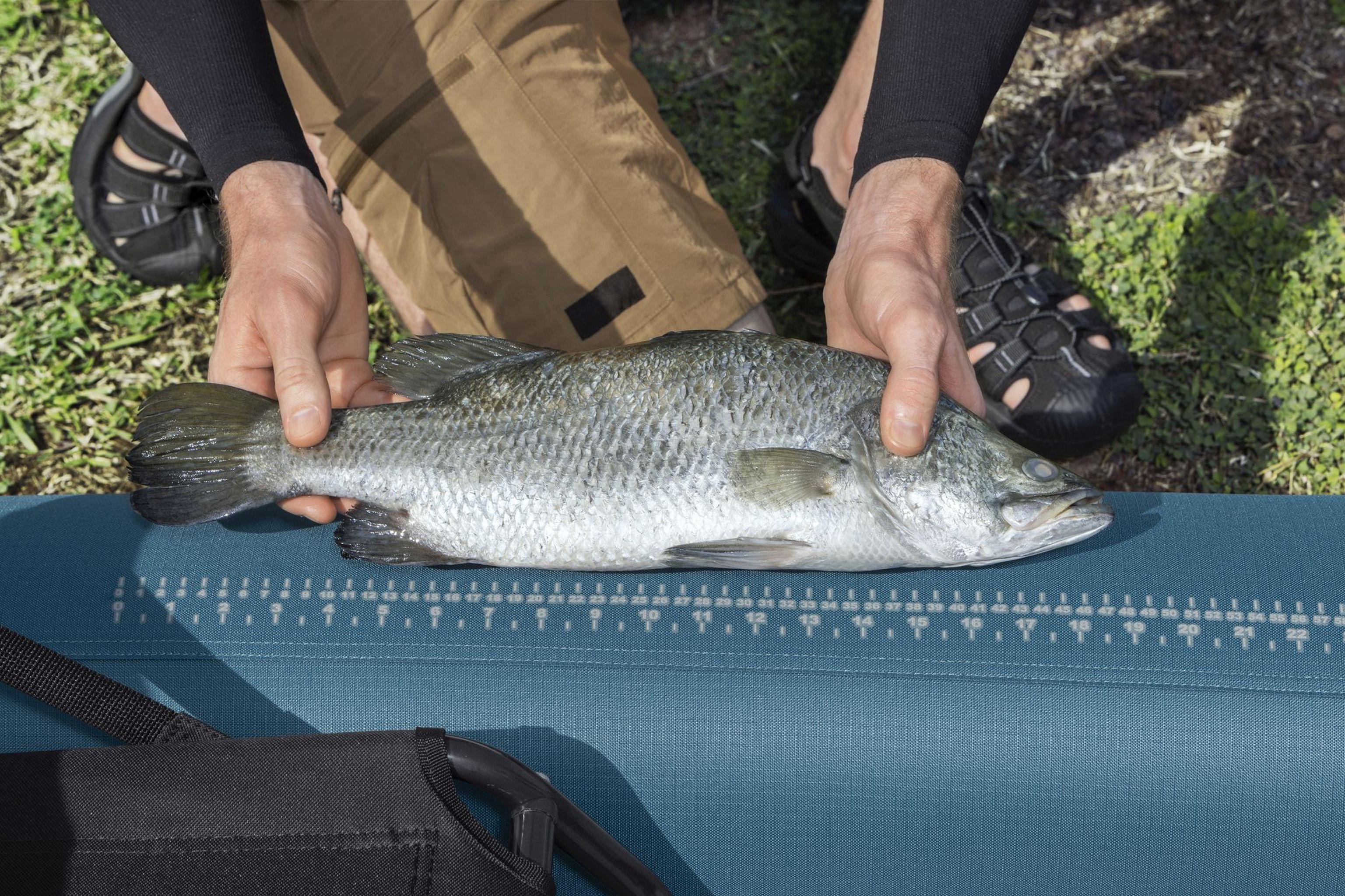 Bestway Angler Elite Kajak für 1 Person mit Sitz, Paddel, Pumpe Bestway Angler Elite Kajak für 1 Person mit Sitz, Paddel, Pumpe