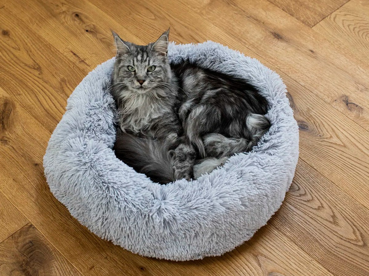 hunde-kattzen-bett hunde-kattzen-bett