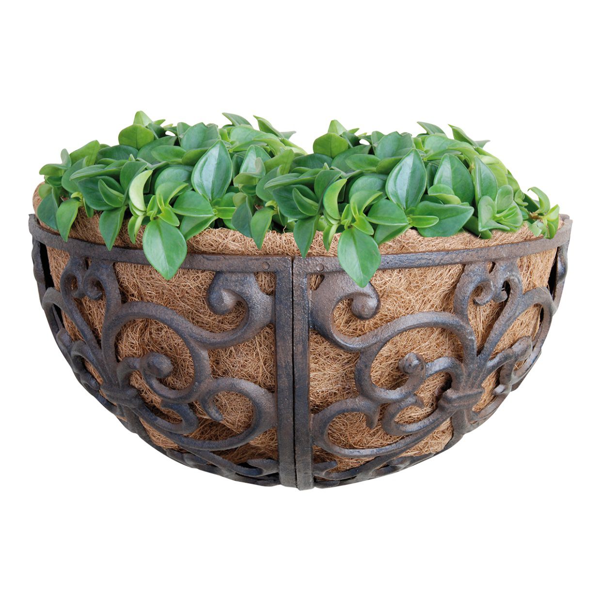 Esschert Design Wandkorb aus Gusseisen, Wandtopf mit Kokosmatte, Ø 35,0 cm ES-BPH27 Esschert Design Wandkorb aus Gusseisen, Wandtopf mit Kokosmatte, Ø 35,0 cm ES-BPH27