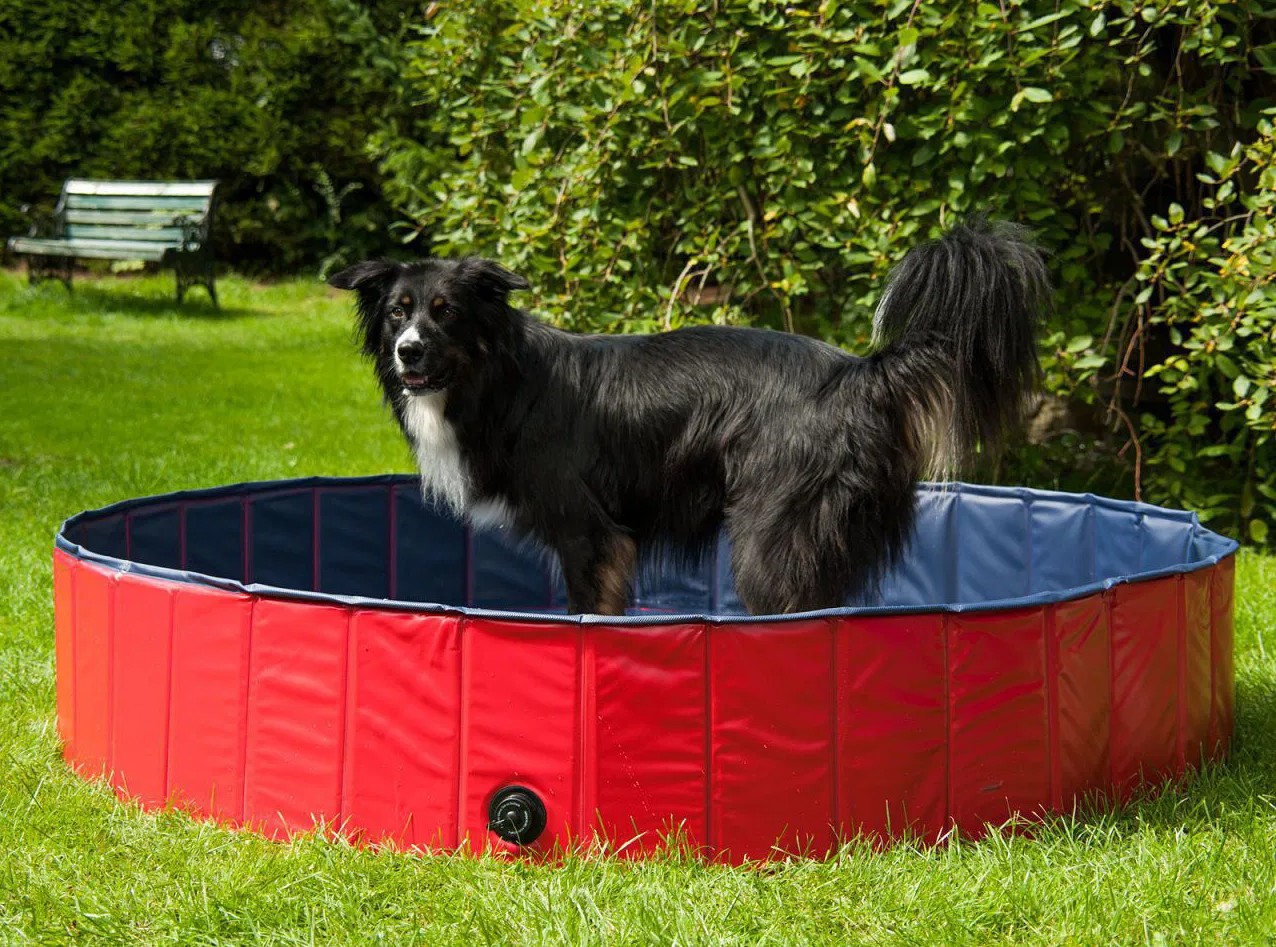 hundepool