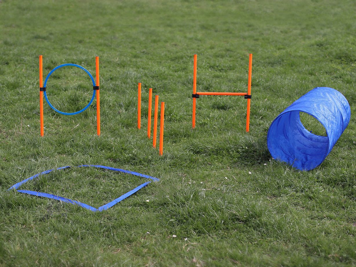Agility Set für kleine und mittelgroße Hunde, Hundesport für Einsteiger PR-A20-X