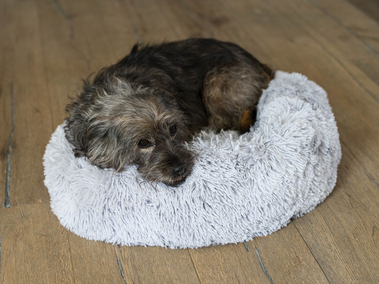 Tierbett für Hund und Katze, Donut, Haustierbett, 60cm PR-B2_HG Tierbett für Hund und Katze, Donut, Haustierbett, 60cm PR-B2_HG