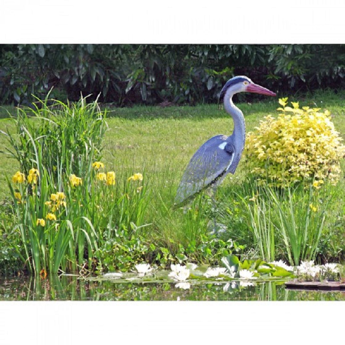 Fischreiher, 71 cm hoch, Kunststoff, Gartenfigur HI-504533