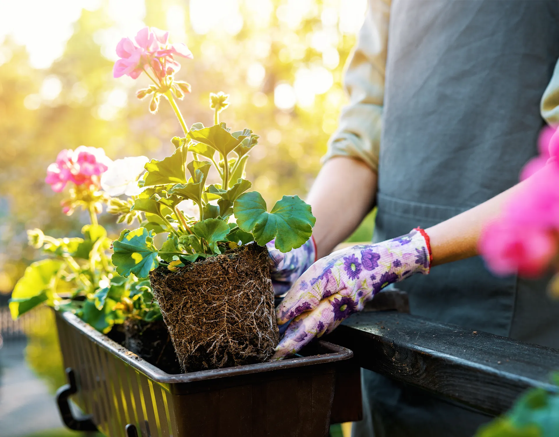 Blumenkasten Titel